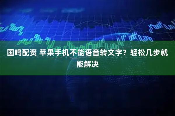 国鸣配资 苹果手机不能语音转文字？轻松几步就能解决