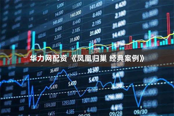 华力网配资 《凤凰归巢 经典案例》