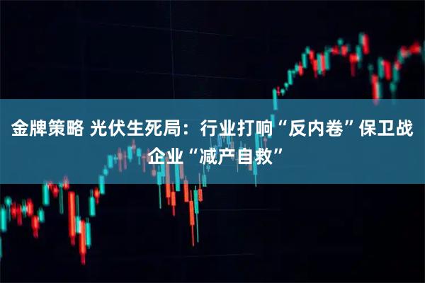 金牌策略 光伏生死局：行业打响“反内卷”保卫战 企业“减产自救”