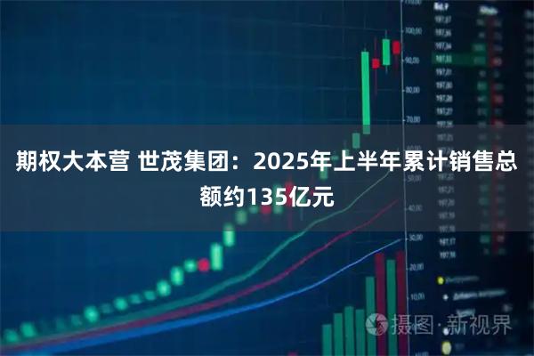 期权大本营 世茂集团：2025年上半年累计销售总额约135亿元