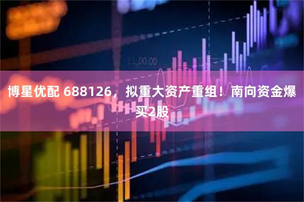 博星优配 688126，拟重大资产重组！南向资金爆买2股