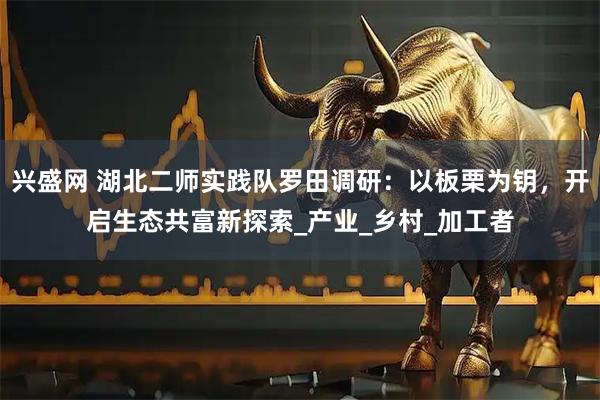 兴盛网 湖北二师实践队罗田调研：以板栗为钥，开启生态共富新探索_产业_乡村_加工者