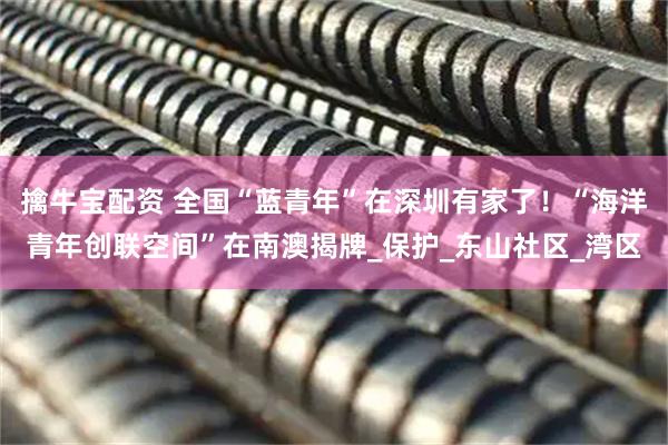 擒牛宝配资 全国“蓝青年”在深圳有家了！“海洋青年创联空间”在南澳揭牌_保护_东山社区_湾区